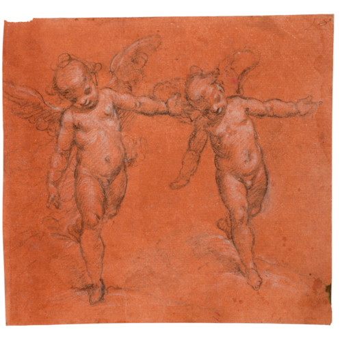 Two Studies of a Winged Putto